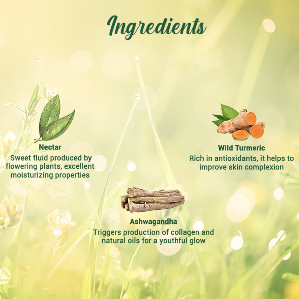 Biotique Morning Nectar Nourish & Hydrate Moisturizer, 190ml