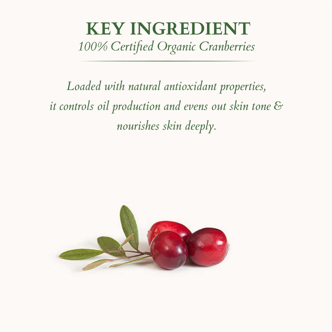 Lotus Organics+ Ultra Matte Mineral Sunscreen SPF 40 PA+++, 100g | Oil-Free, Matte Finish